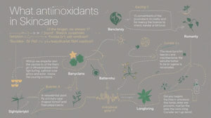 What Are Antioxidants in Skincare? Benefits You Should Know